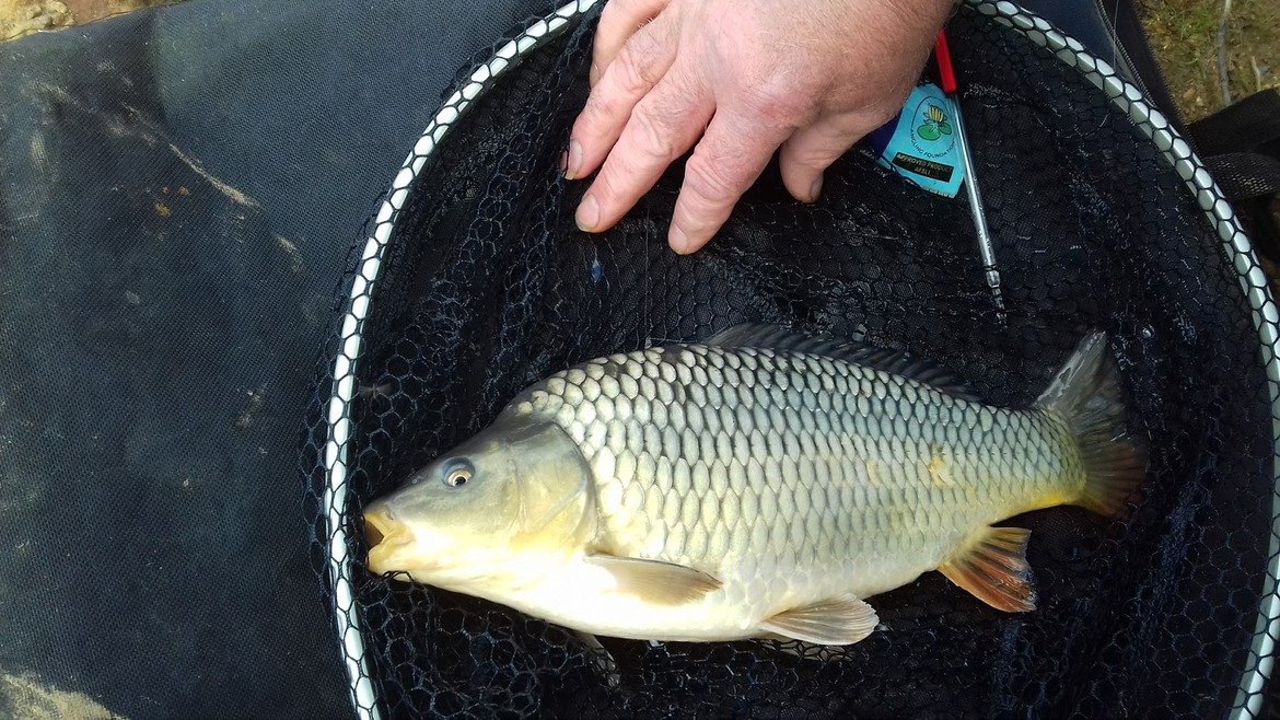 fishing, peak district fishing, fishing lake, derbyshire fishing lake, darwin forest, darwin lodges, peak district fishing lake,