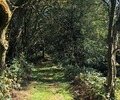 wedding venue, group venue, wedding organiser,Group events, Peak Venue, Peak Venues, Peak District Venues,